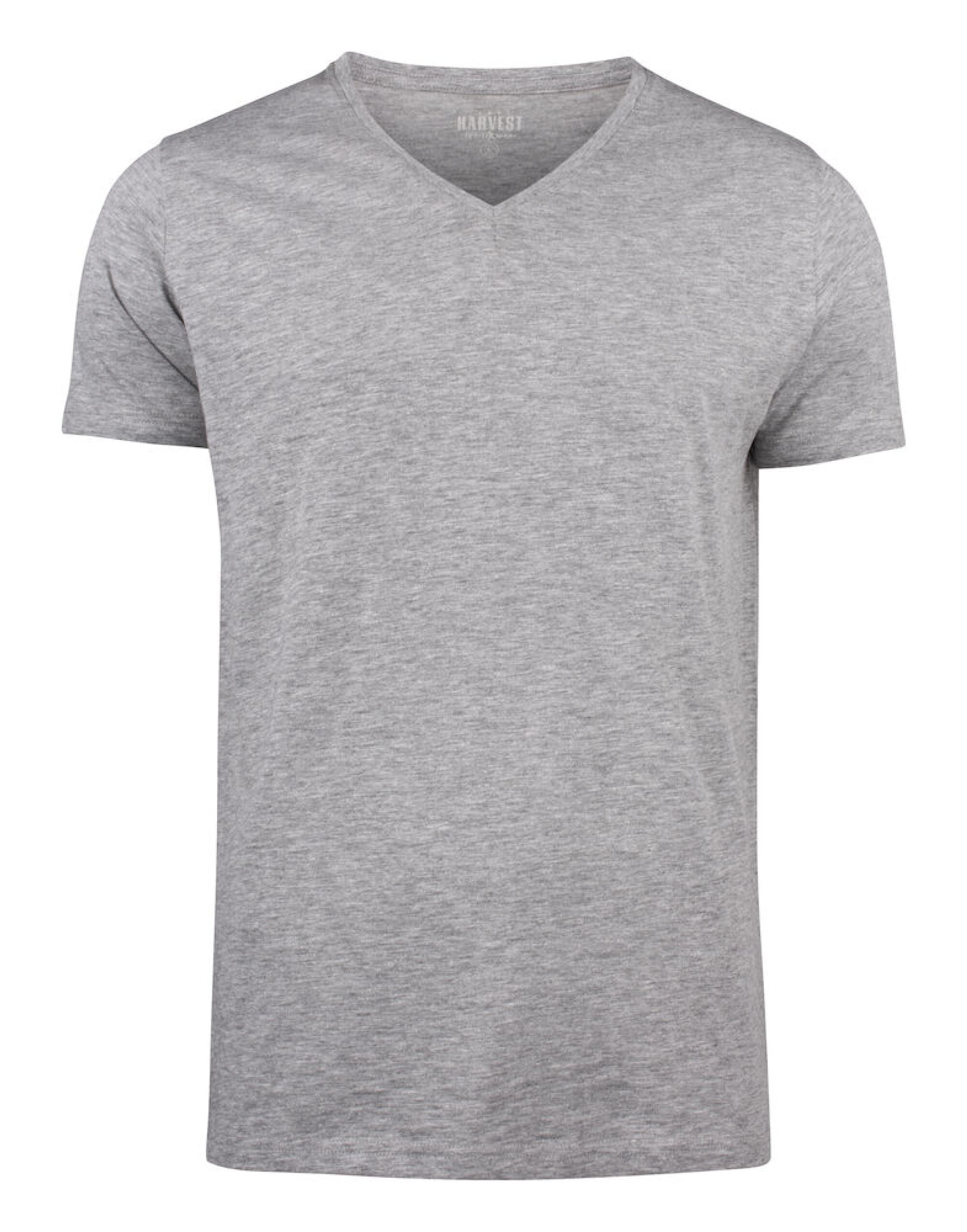 Whailford V-Neck T-Shirt